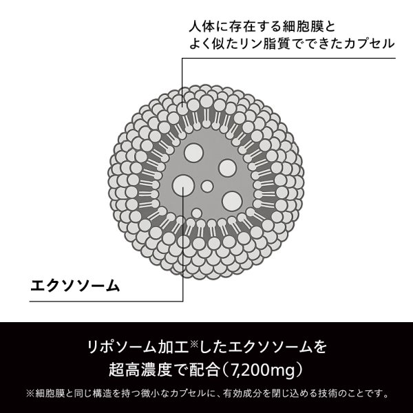 画像4: PureStem 高濃度エクソソーム リペアクリーム 30g  国内最高濃度40％配合 (4)