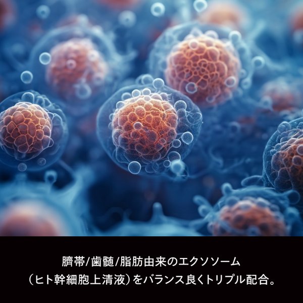 画像3: PureStem 高濃度エクソソーム リペアクリーム 30g  国内最高濃度40％配合 (3)